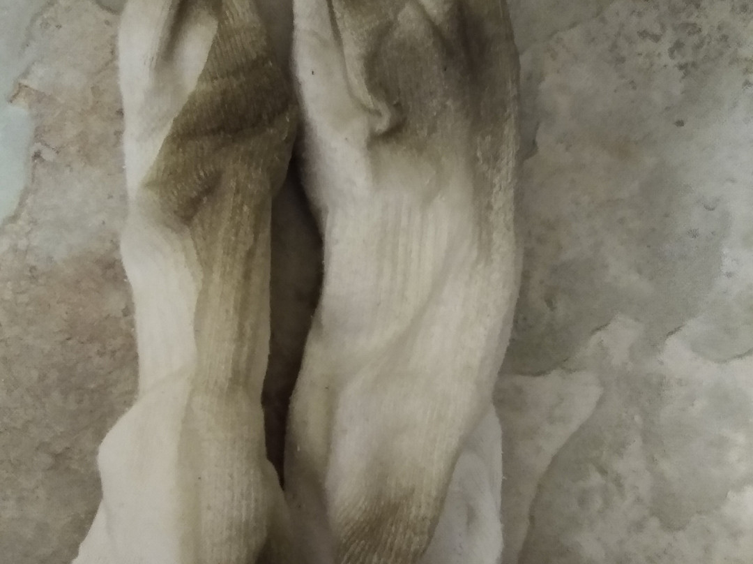 Frontier Cabins Motel主图