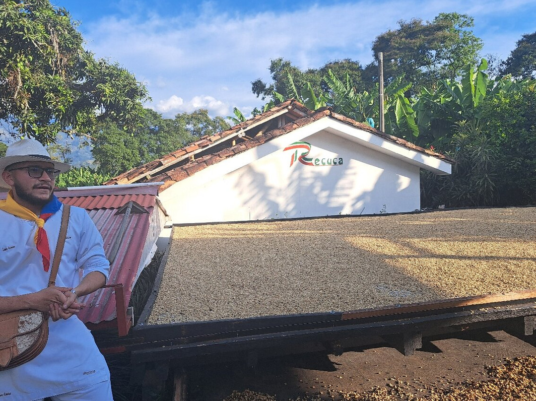 Recuca-Calarca必去景点