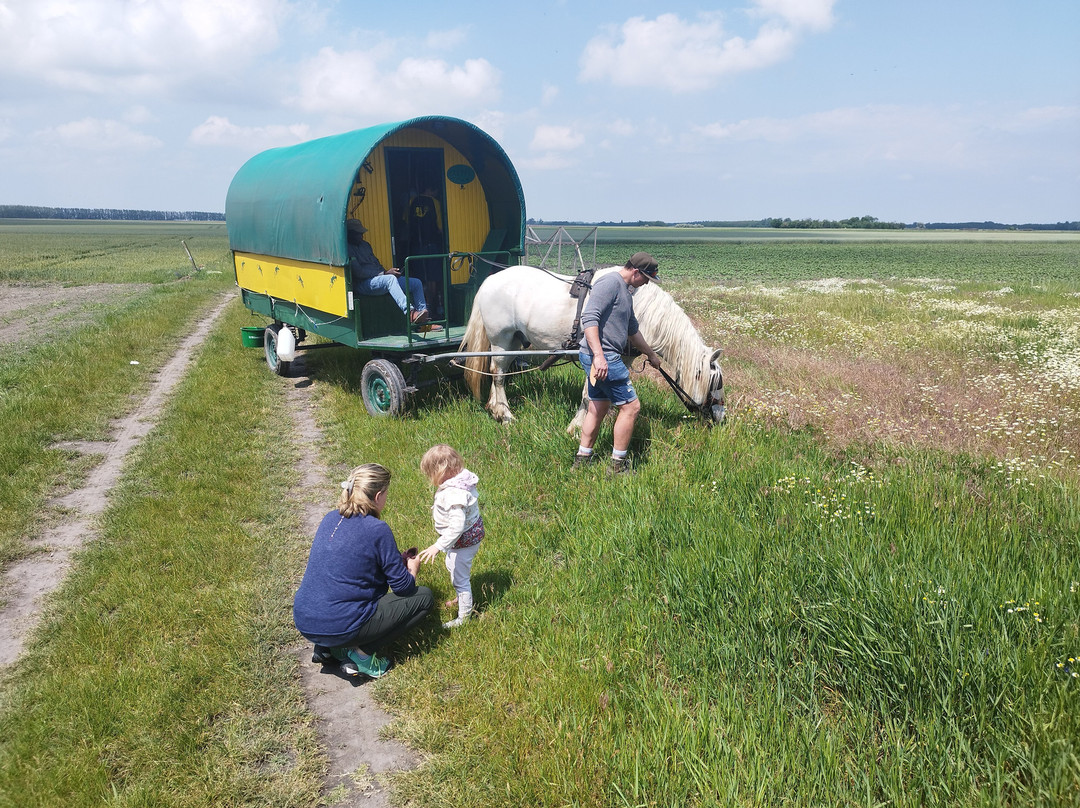 Puszta Kutsche景点图片