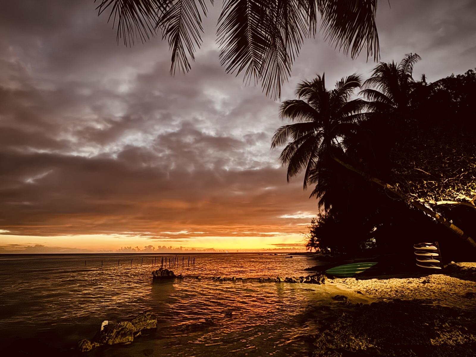 Le Coconut Lodge-泳池