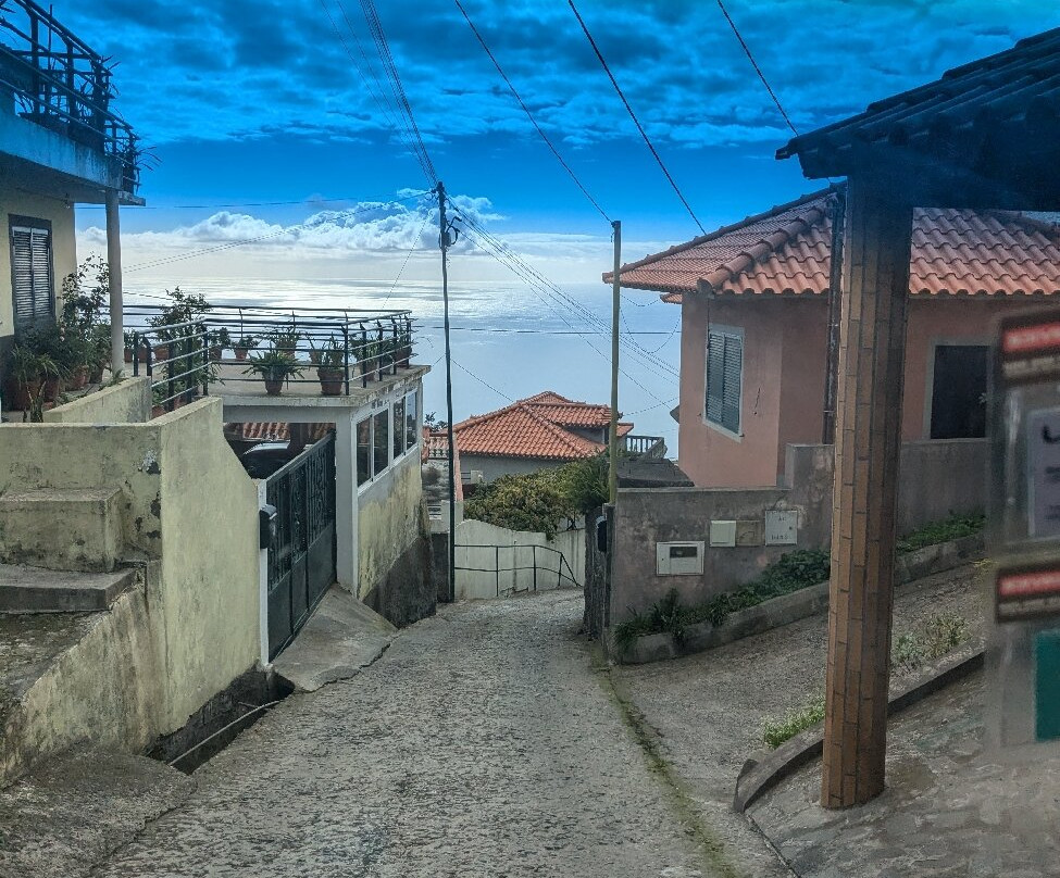 Just Madeira 4x4-Camara De Lobos必去景点