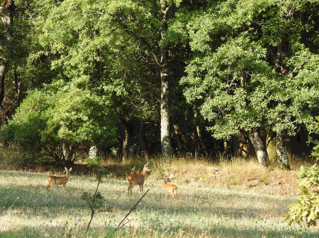 I Borghi Dell'eremo主图