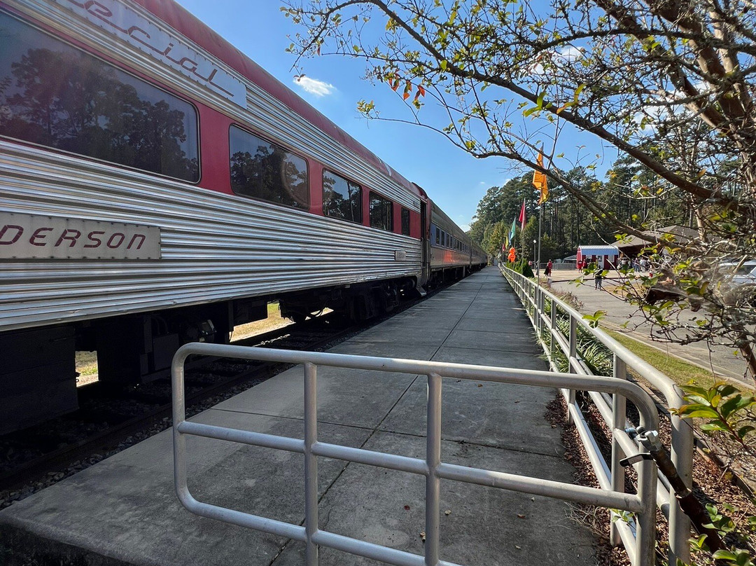 SAM Shortline Excursion Train景点图片