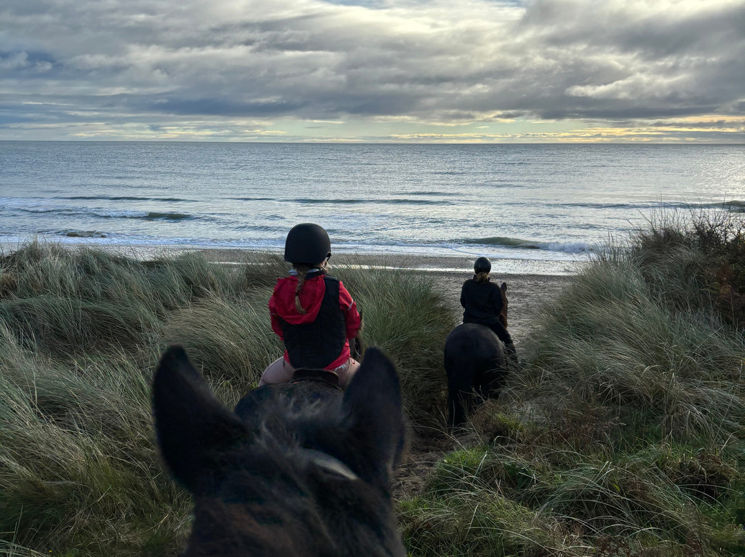 Wicklow Equi Tours-Glenealy必去景点