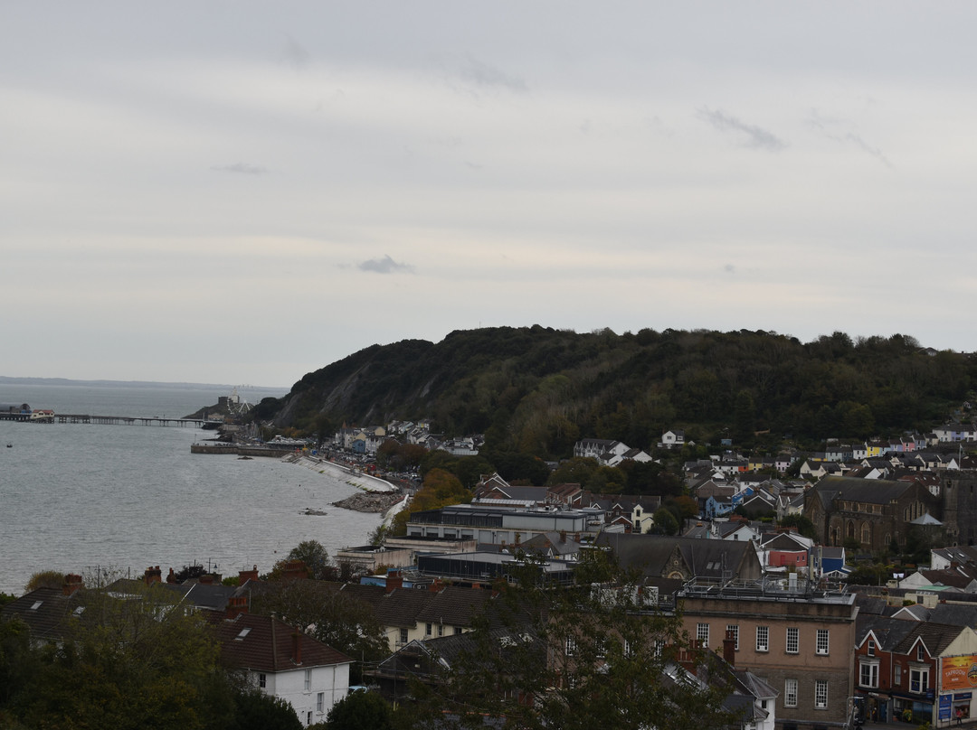 Oystermouth Castle景点图片