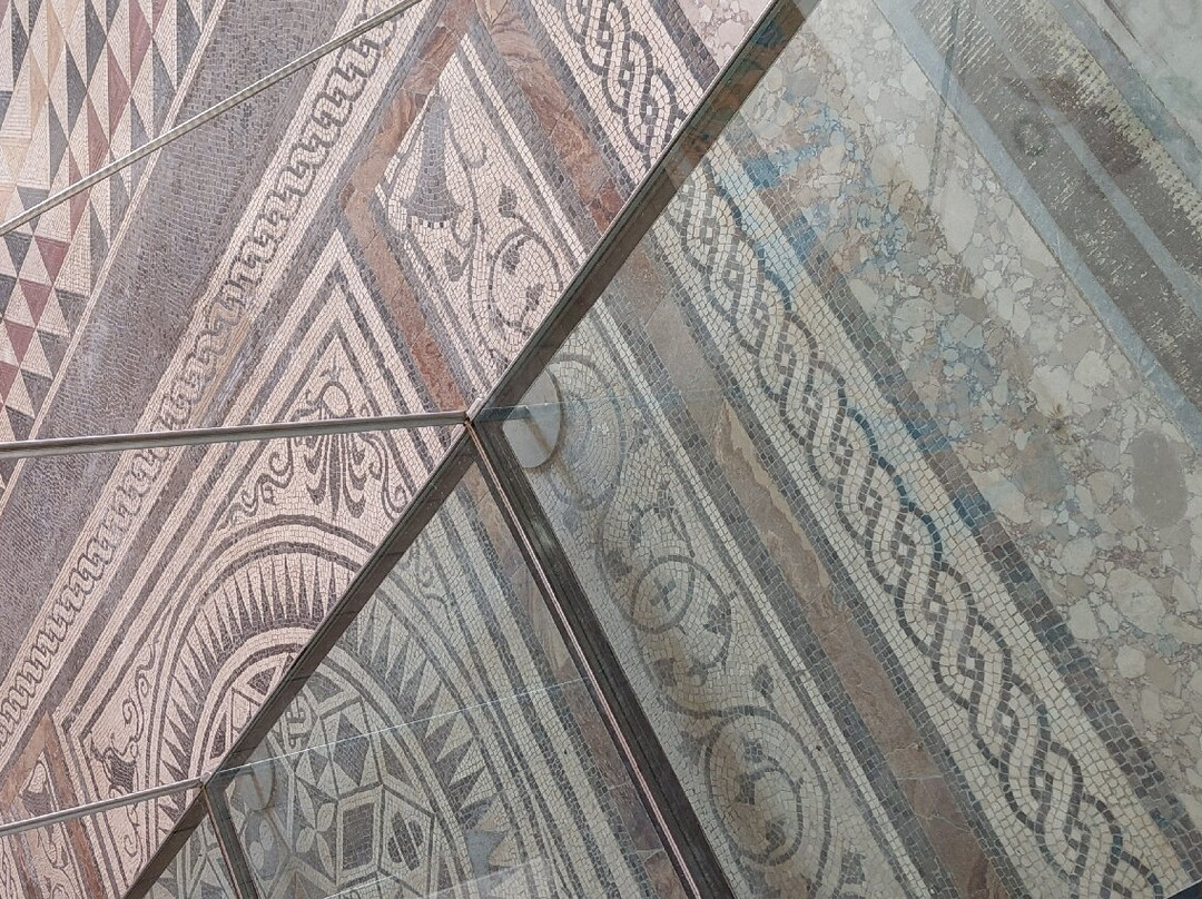 Reggia di Portici Herculanense Museum景点图片