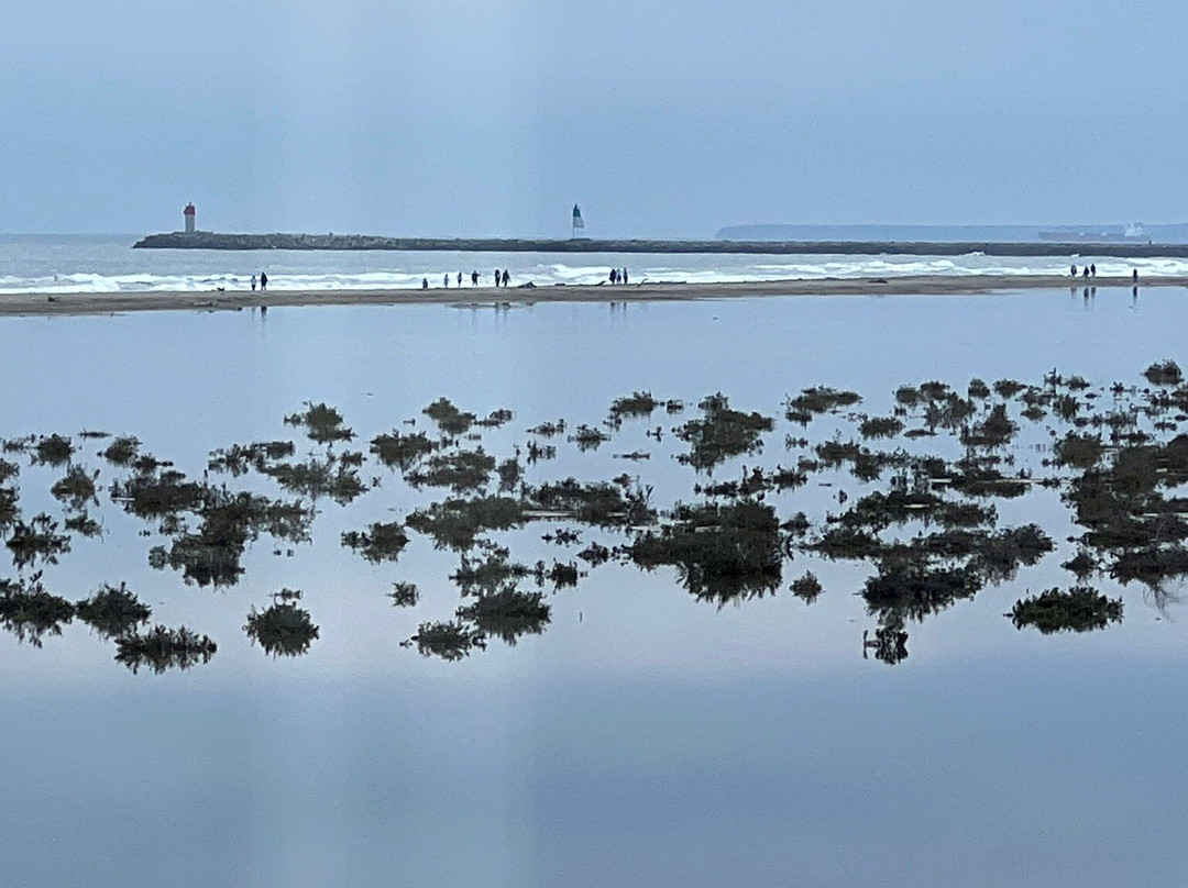 Plage des Chalets-Gruissan必去景点