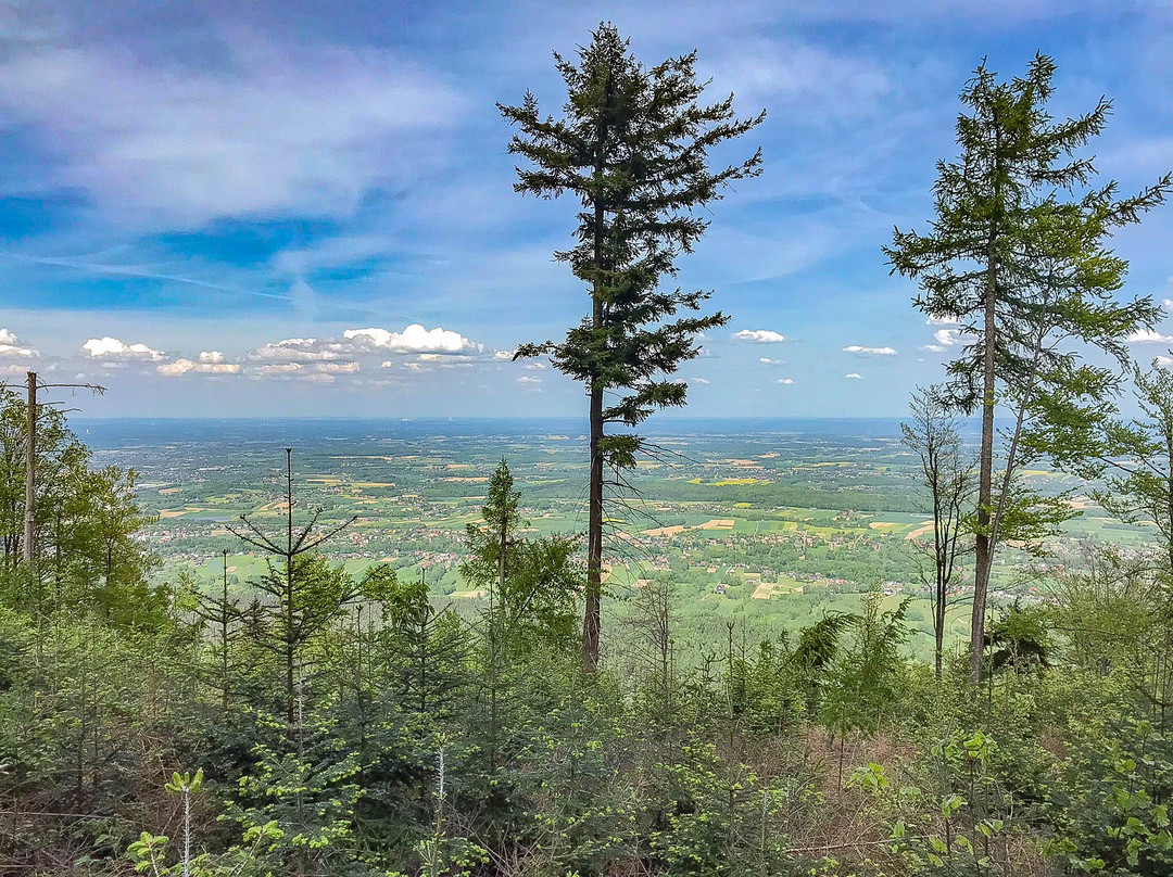 Punkt Widokowy Bukowski Groń
