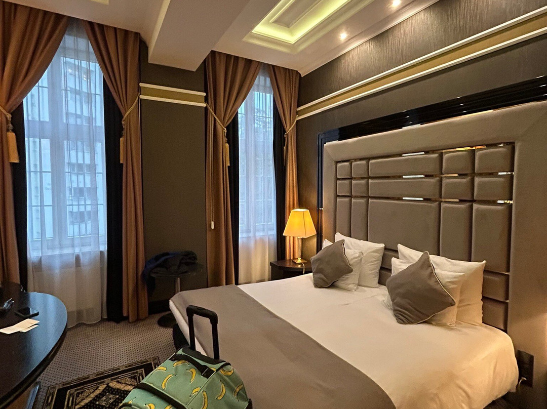 Hotel Dana Business & Conference主图