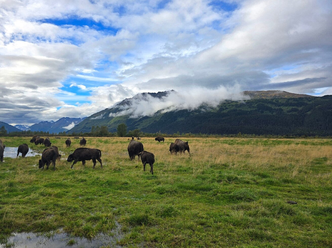 Kenai National Wildlife Refuge-索尔多特纳必去景点