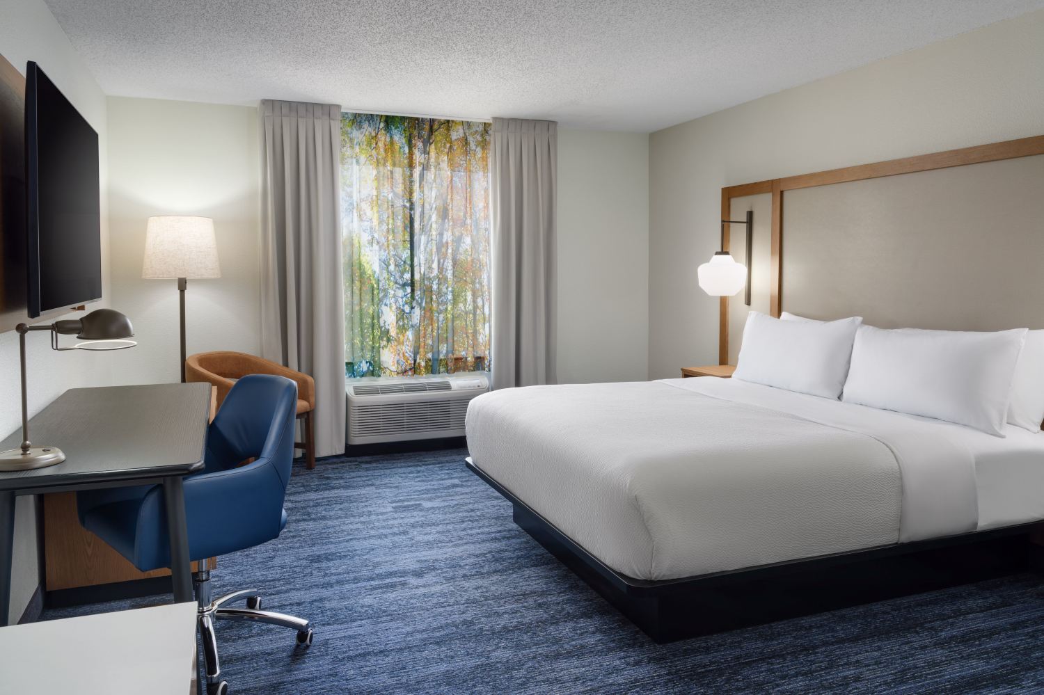 Fairfield Inn & Suites Birmingham Bessemer-客卧