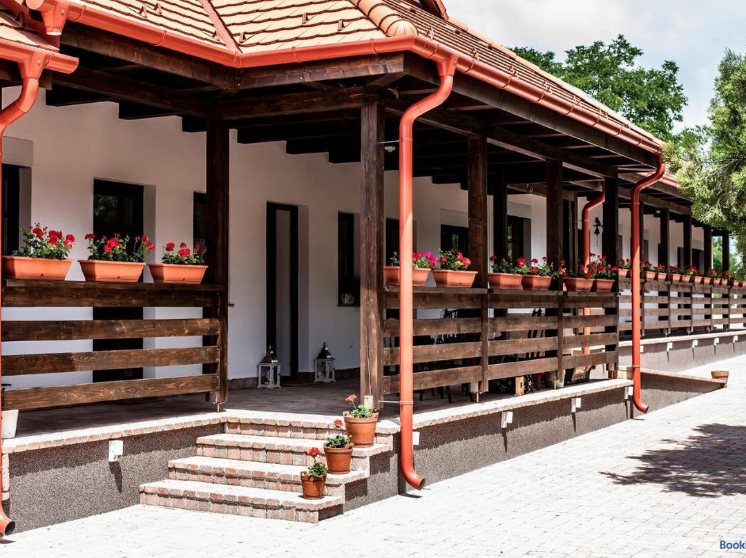 Boroka Vendeghaz Toalmas