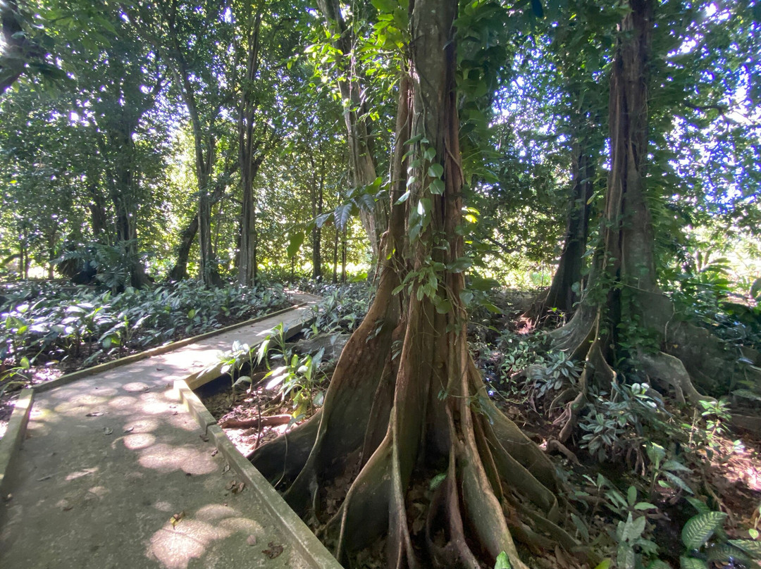 De Raiatea Botanical Garden景点图片