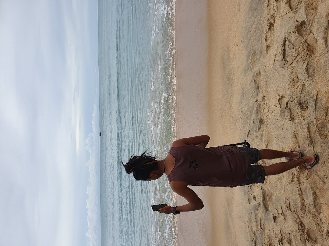 Arugambay Beach and Lagoon主图