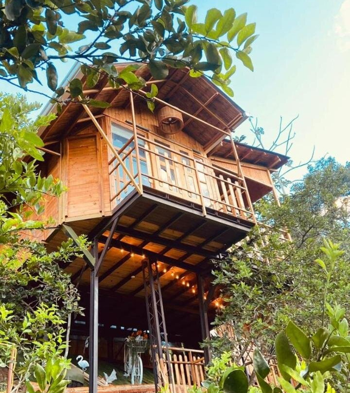 Tropical House