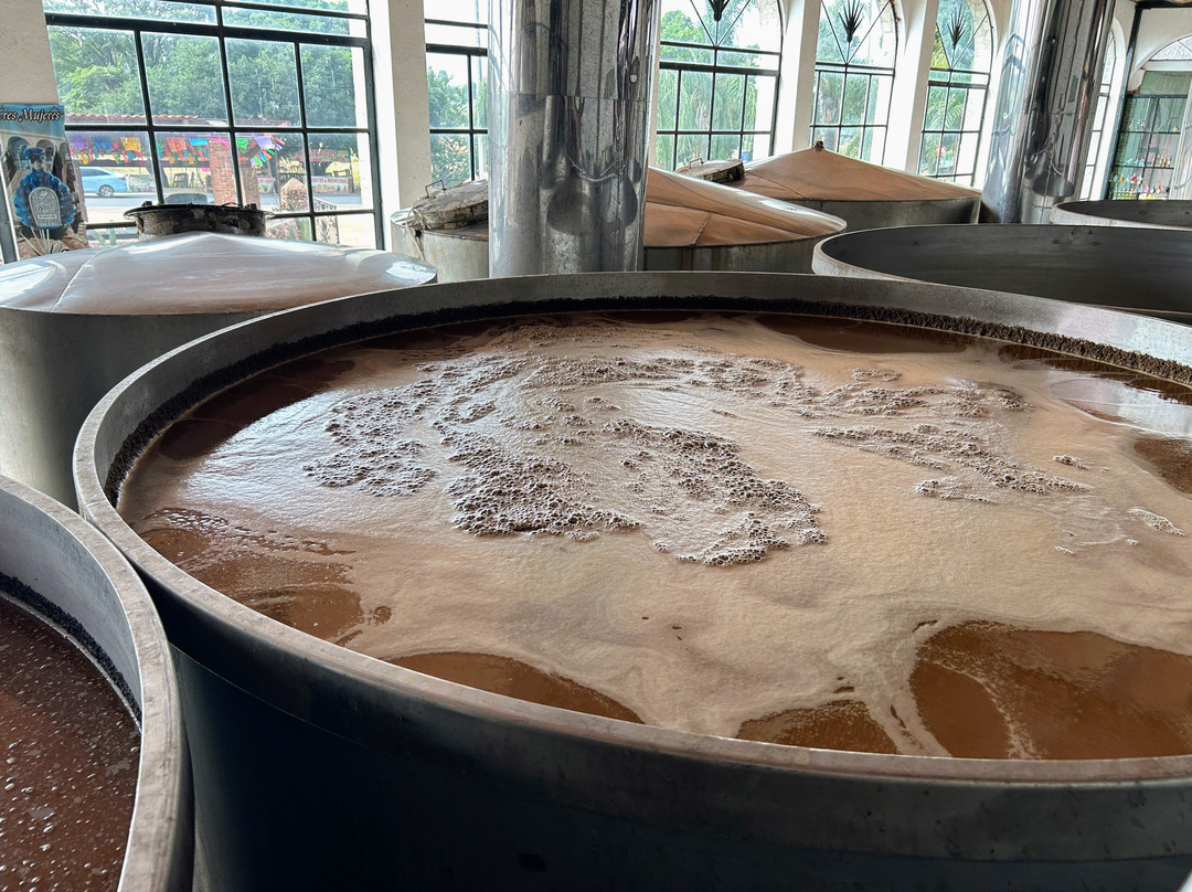 Tequila Tres Mujeres-Amatitan必去景点