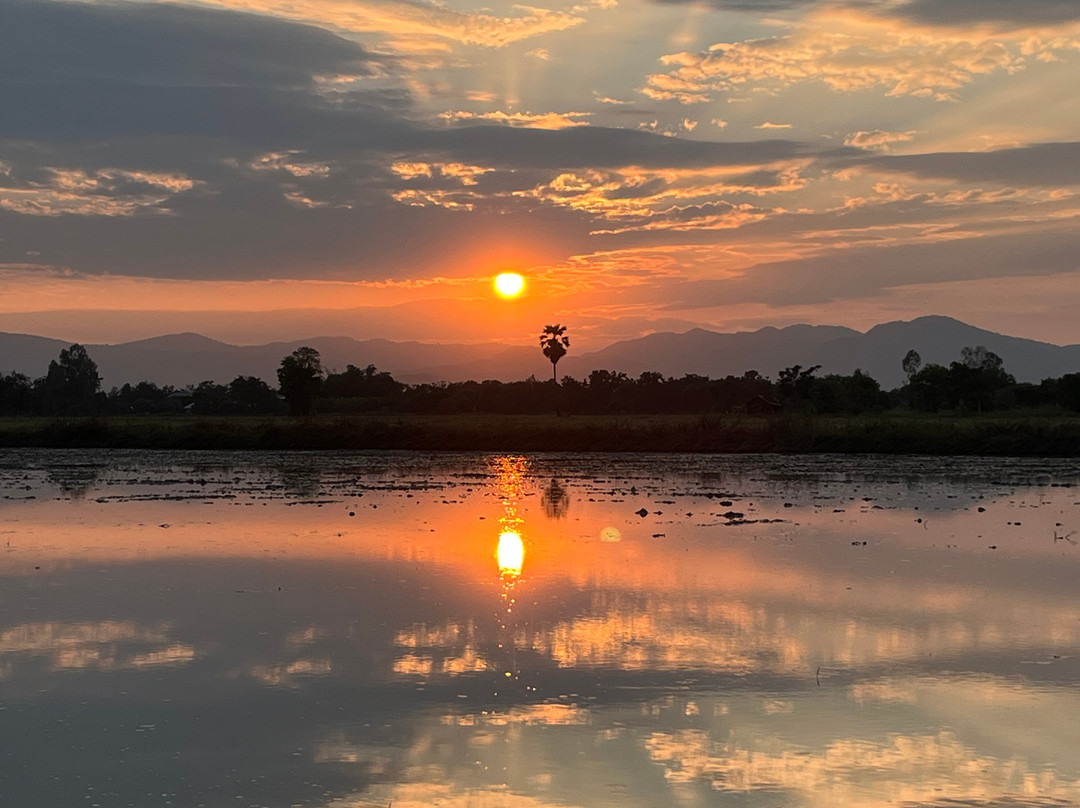 Sukhothai Bicycle Tour景点图片