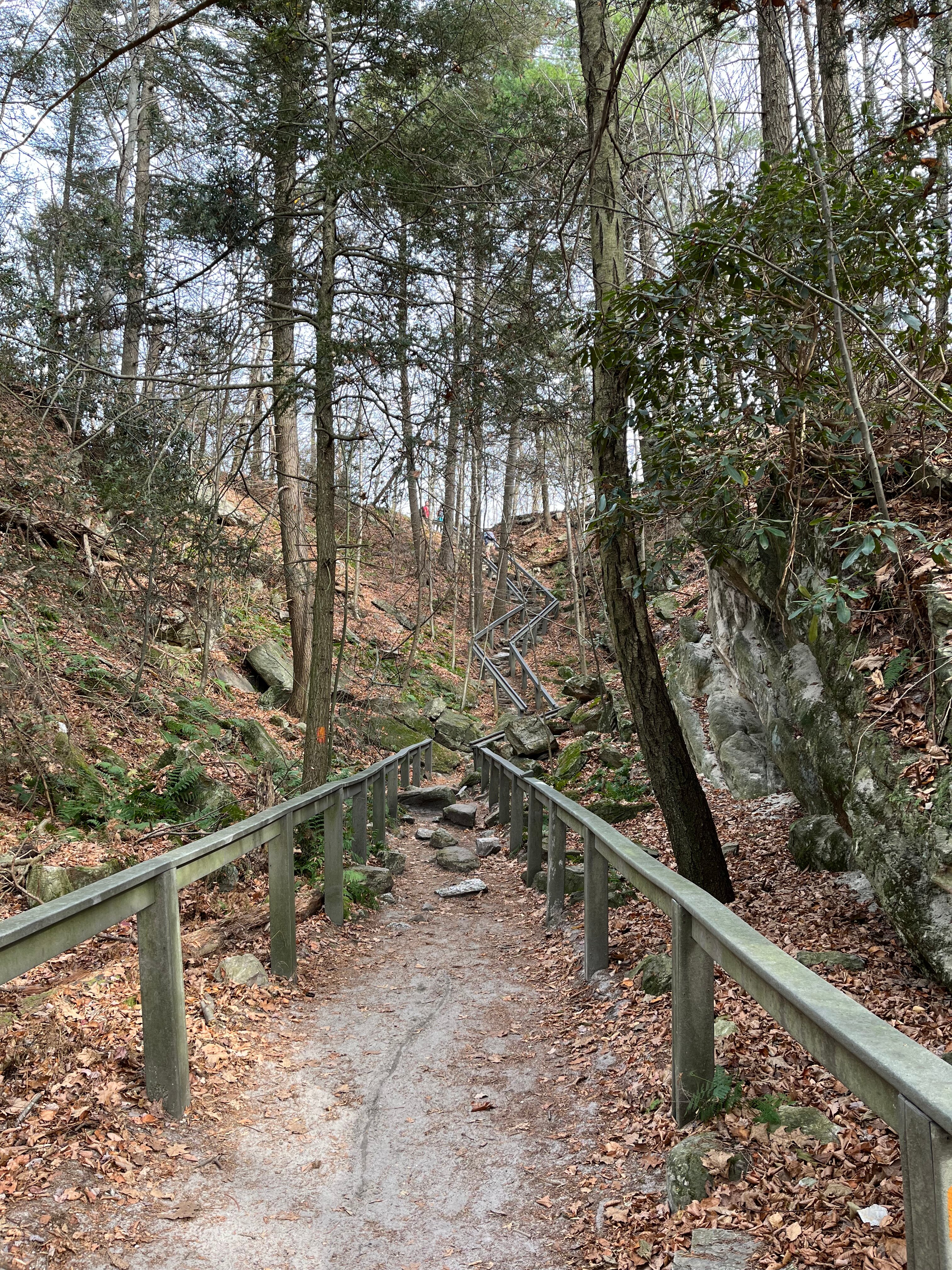 Hawk Mountain B&B-官方
