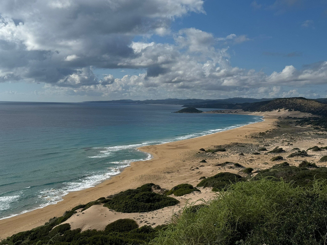 Altınkum Plajı-Dipkarpaz必去景点