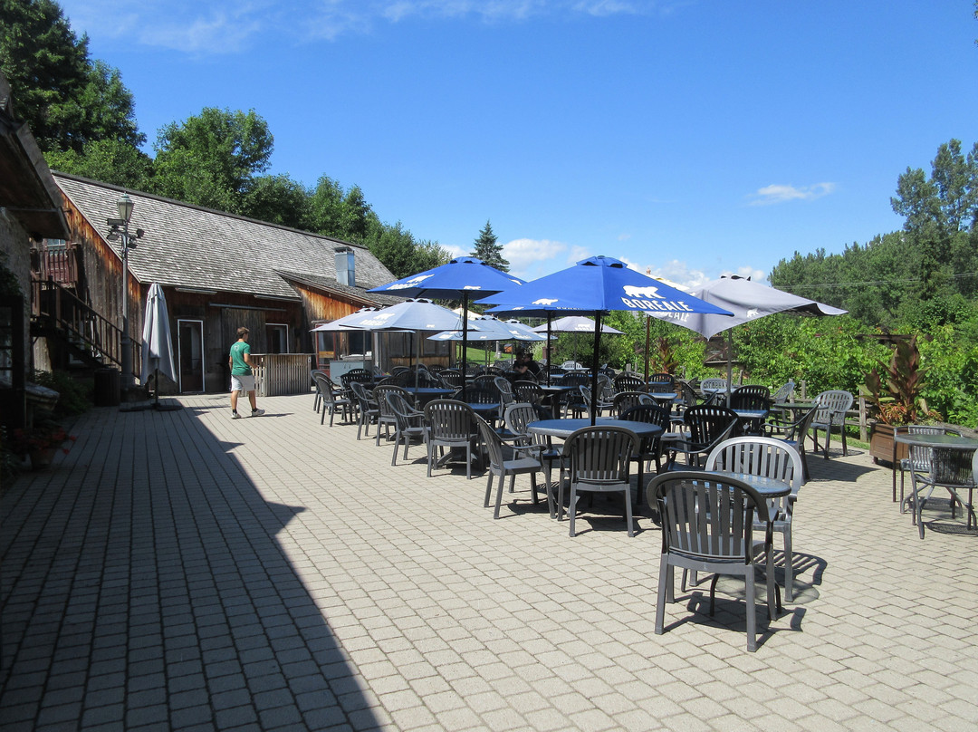 Le Moulin Michel景点图片