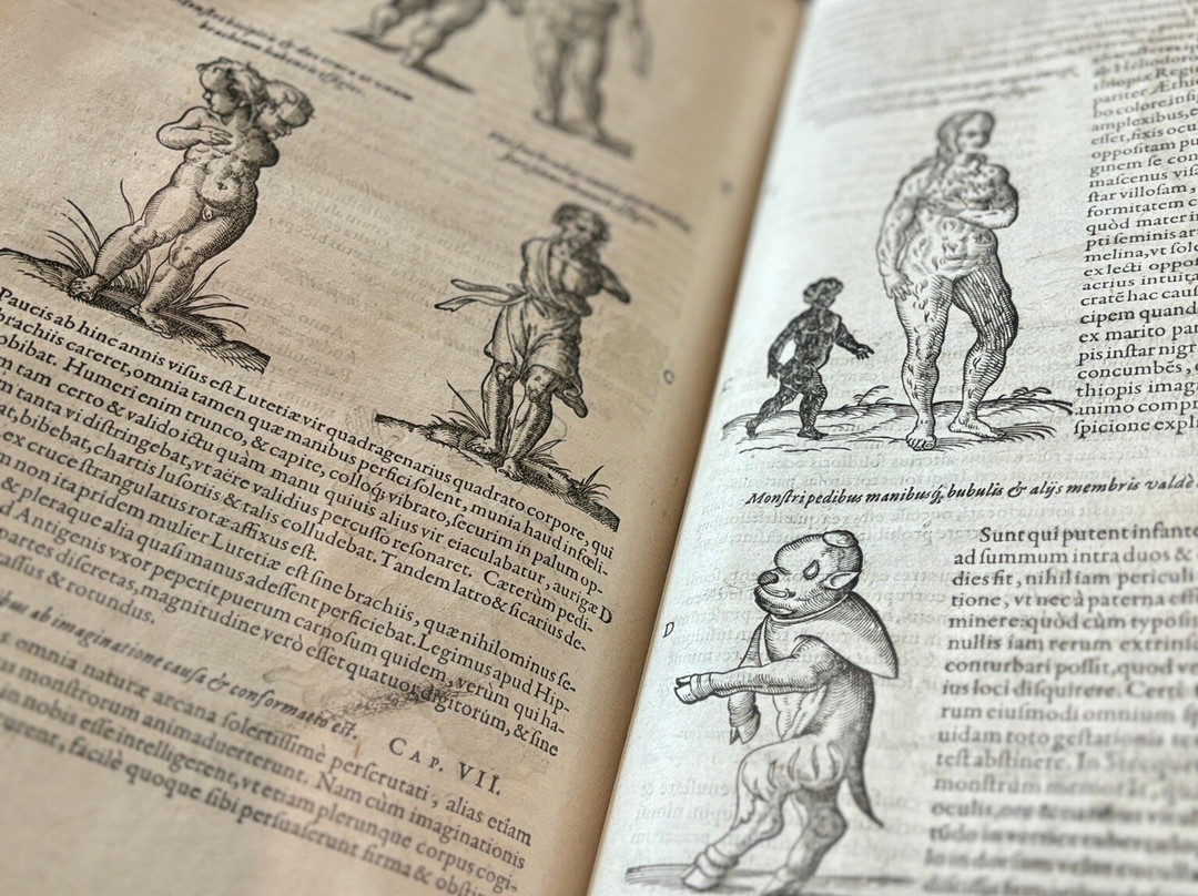 Biblioteca Palafoxiana-普埃布拉必去景点