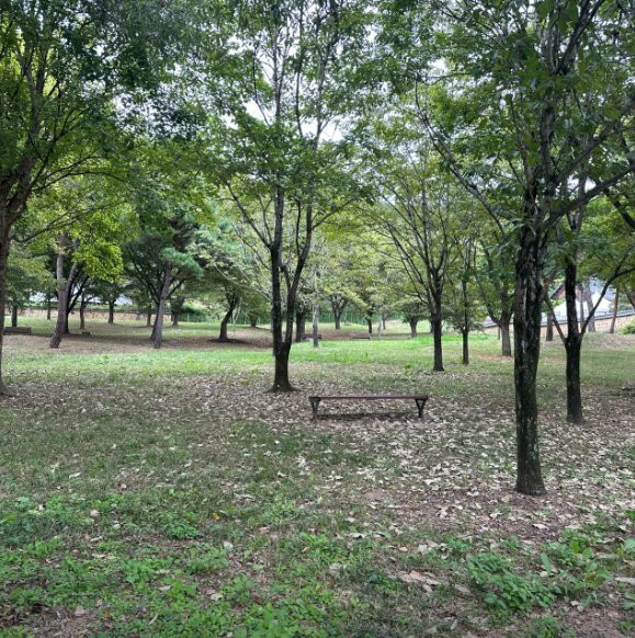 Shin Sunggyeom Shrine-大邱必去景点