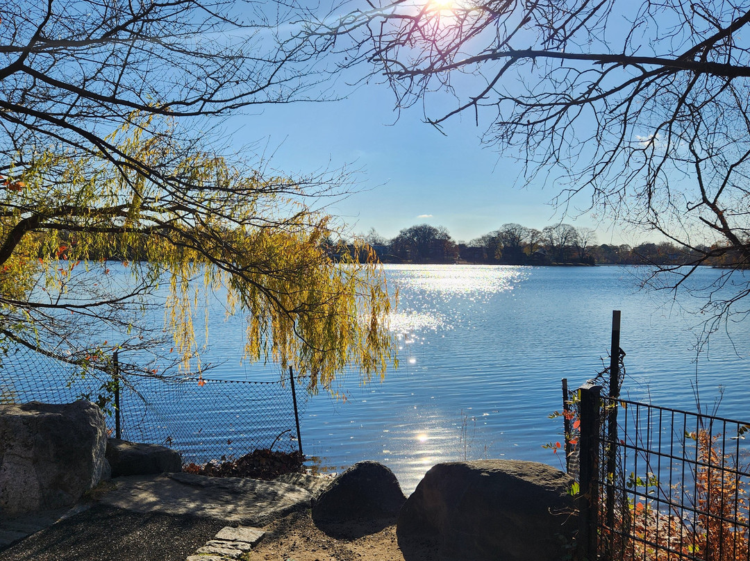 Spy Pond Park景点图片