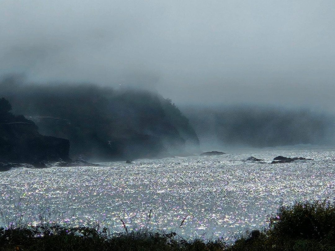 Mendocino Coast景点图片