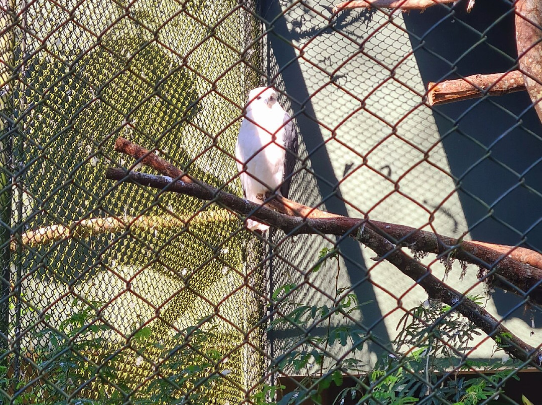 Zoológico Municipal de Curitiba-库里提巴必去景点