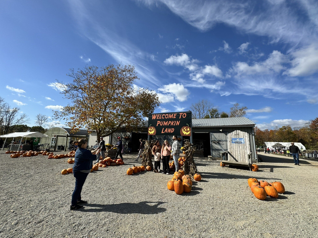 Windmill Farm Market-Springboro必去景点