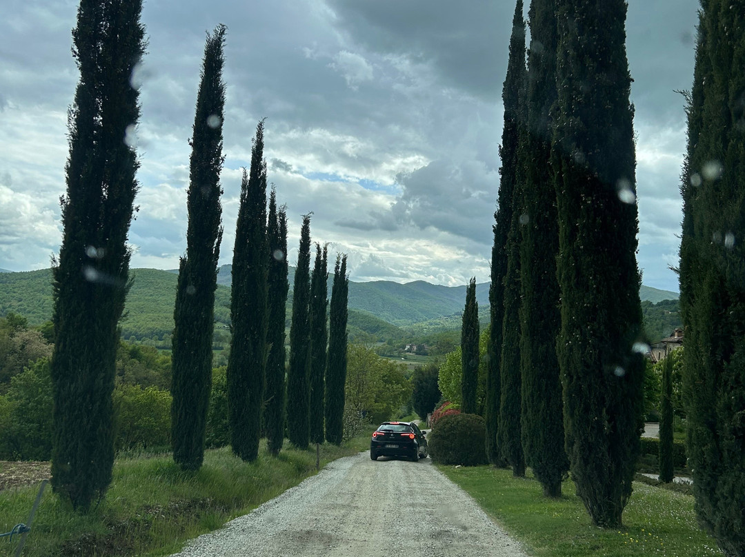 Il Cardo Resort主图