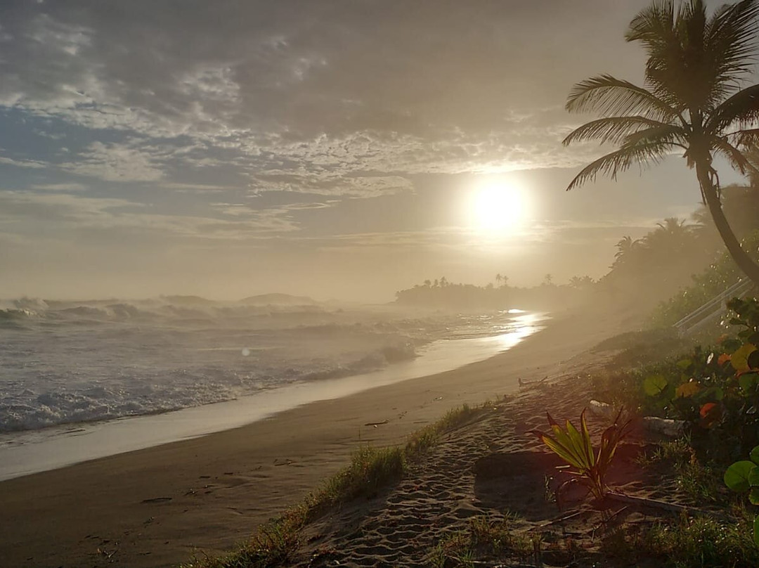 Puerto Las Vacas-巴塞罗那塔必去景点