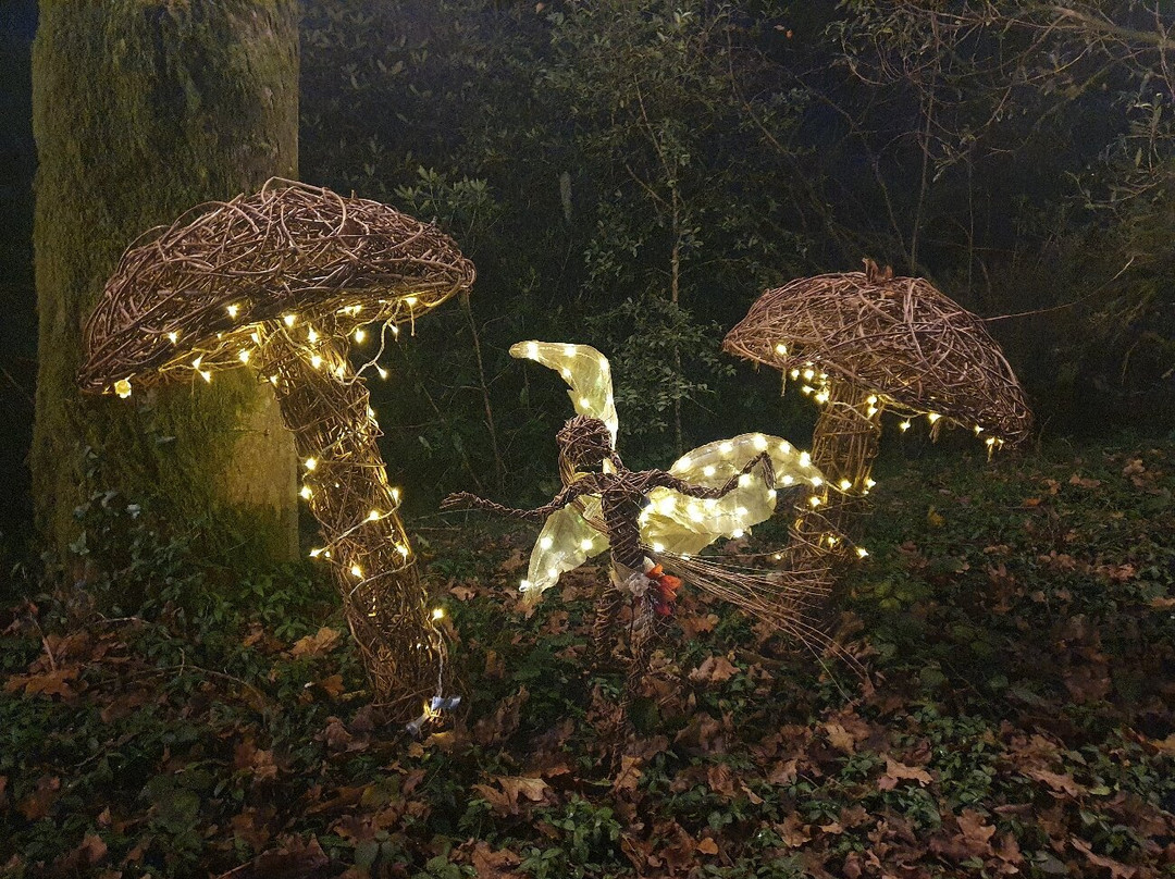 Minterne Gardens景点图片