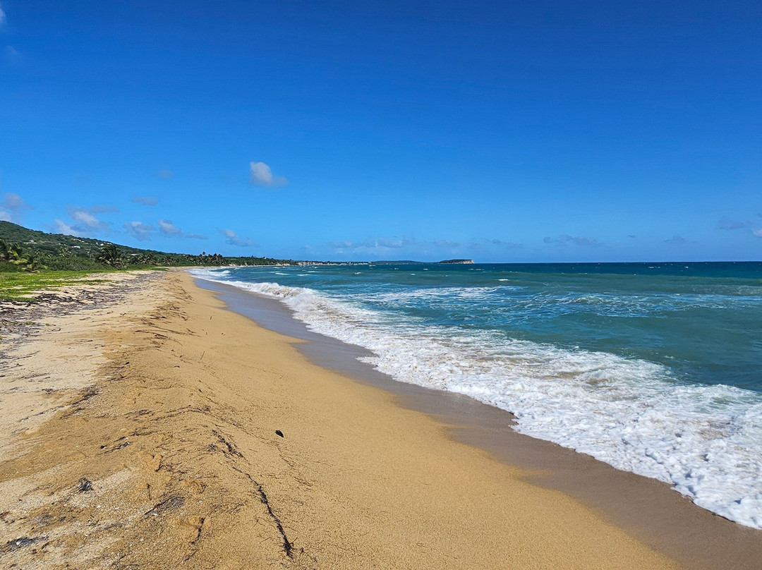 Playa Grande-维切克岛必去景点