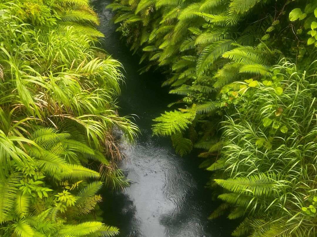 Mount Hope Waterfall-卢甘维尔必去景点