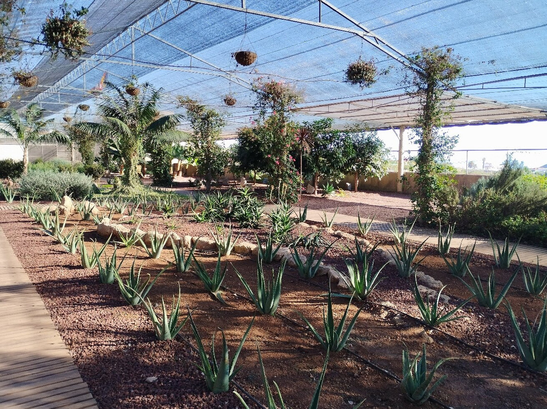 Finca Canarias Aloe Vera-Guimar必去景点