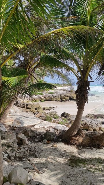 迪亚曼特凯酒店-浴室