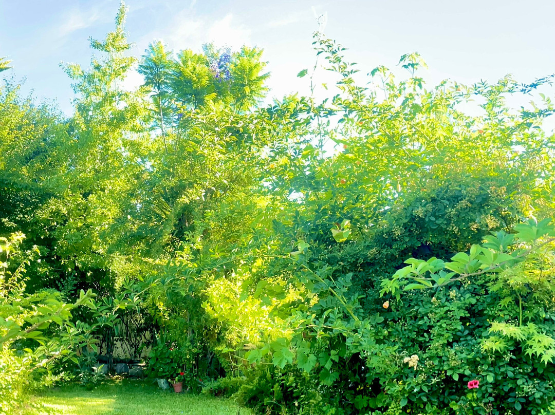 Hotel Vendimia Parador主图