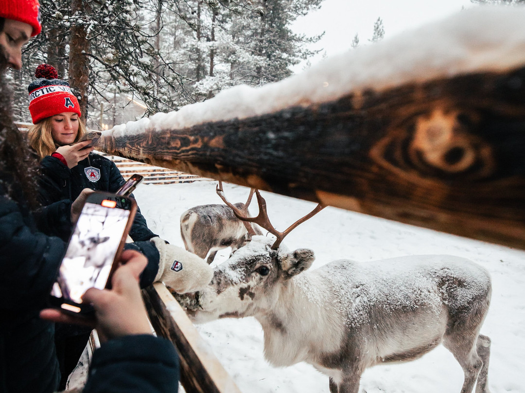Lapland Winter Park-罗瓦涅米必去景点