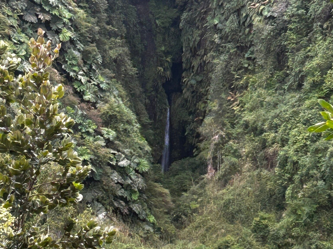 Cascadas de Tocoihue-Dalcahue必去景点