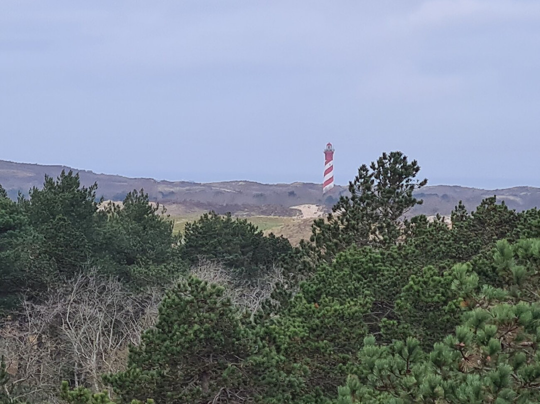 Boswachterij Westerschouwen-Westenschouwen必去景点