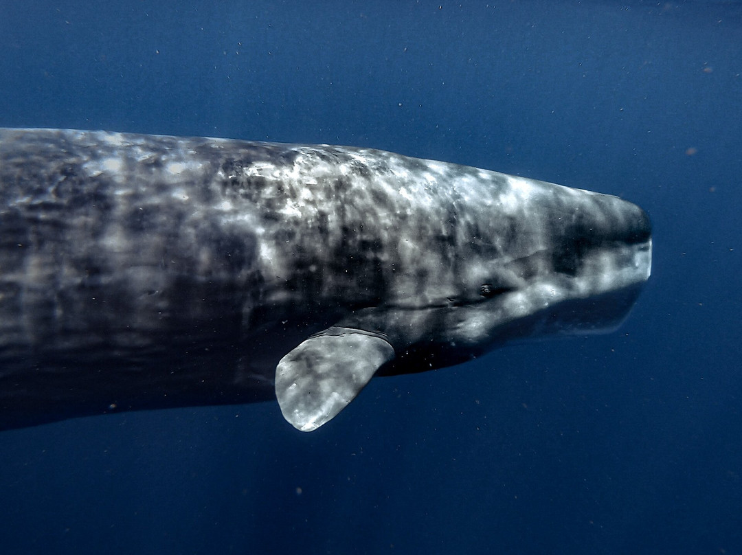 Primal Ocean-La Ventana必去景点