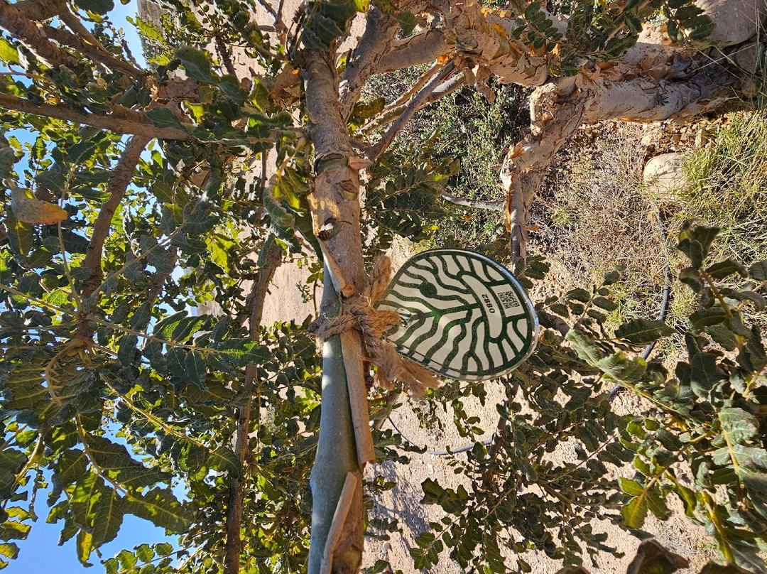 Wadi Dawkha-塞拉莱必去景点