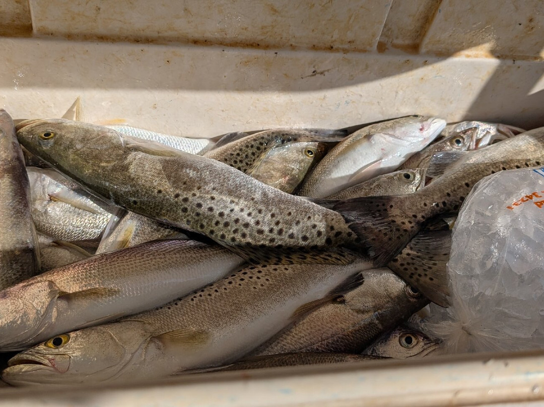 Everglades Fishing Adventures-大沼泽地必去景点