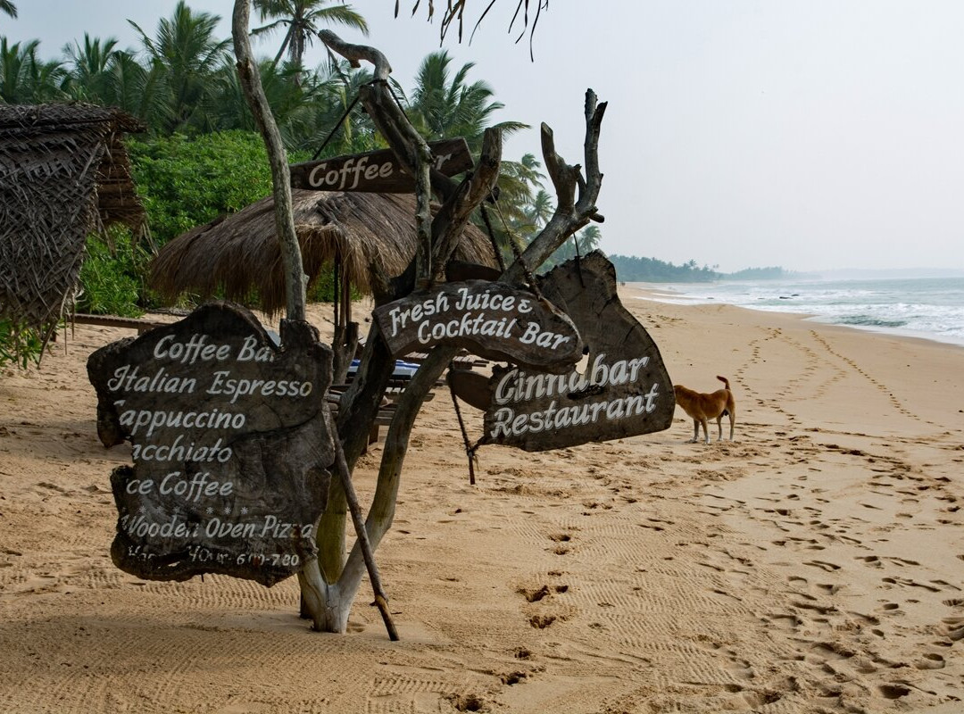 Cinnabar Resort主图