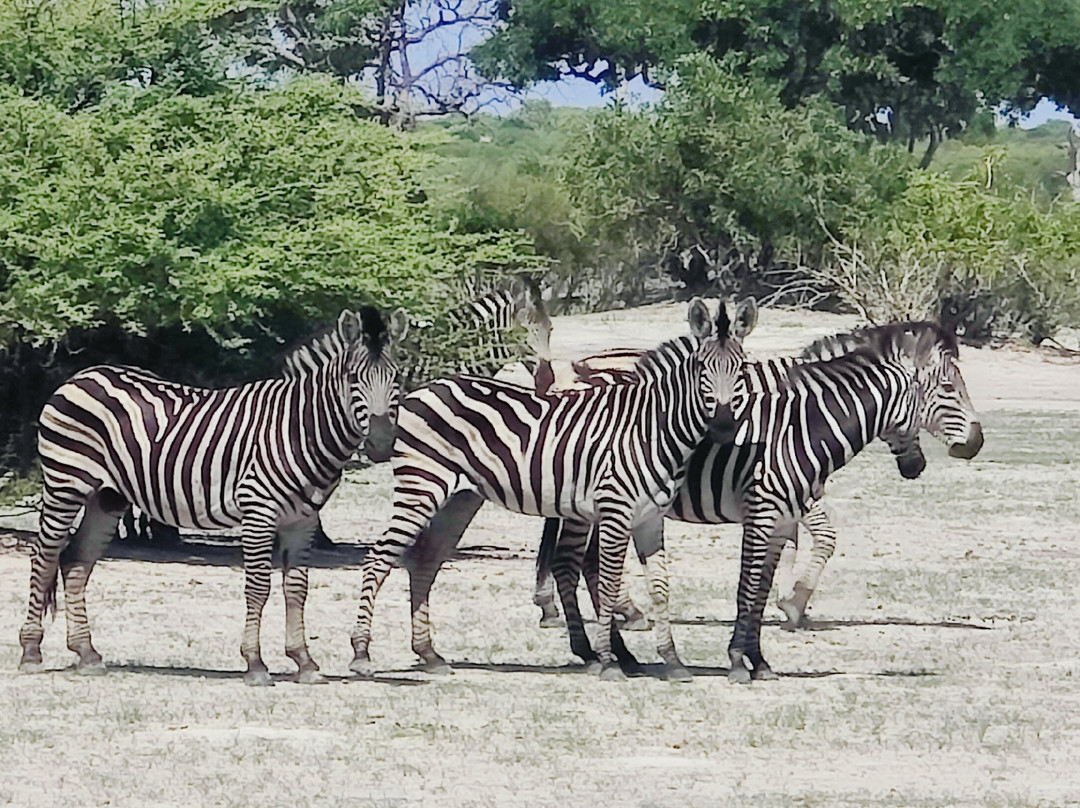 Leon Safaris-卡萨尼必去景点