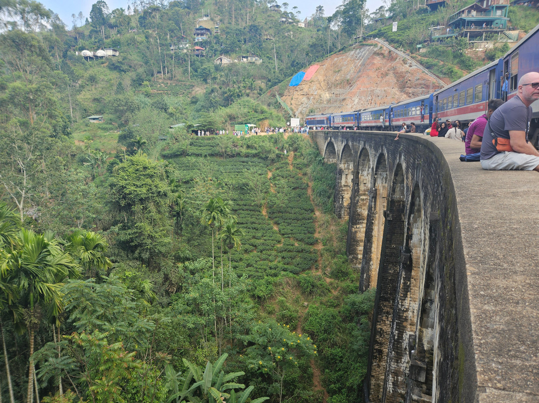 Serendib Excursions景点图片