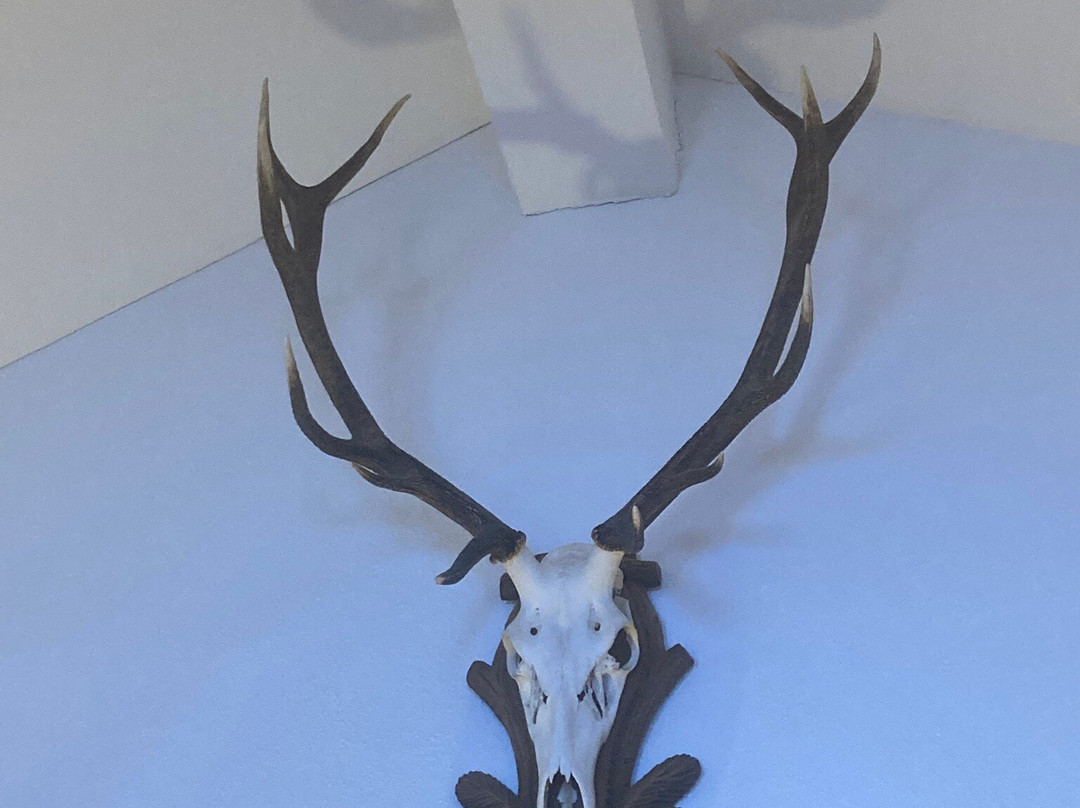 Almhof Alpin Apartments & Spa主图