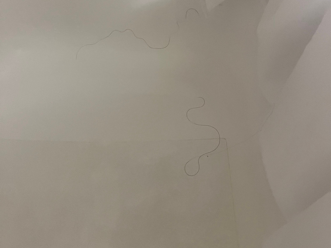 Comfort Inn & Suites Santee I-95主图