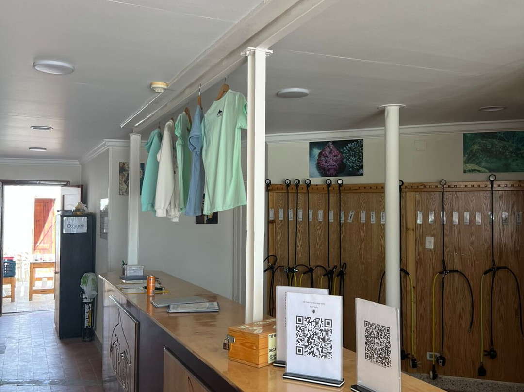 Orca Dive Club Safaga-Safaga必去景点